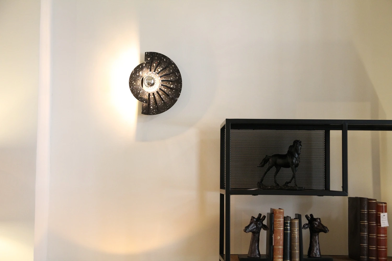 applique plastique moonshadow