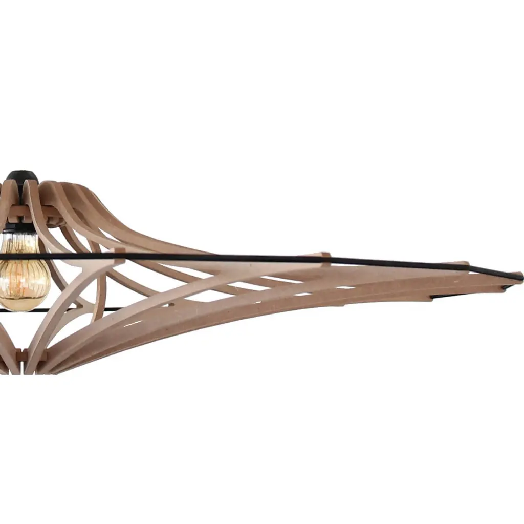 SINGING M BRUT VUE ZOOM.webp