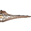 SINGING M BRUT VUE ZOOM.webp