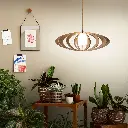 Rolling Brut diffuseur basse def.webp