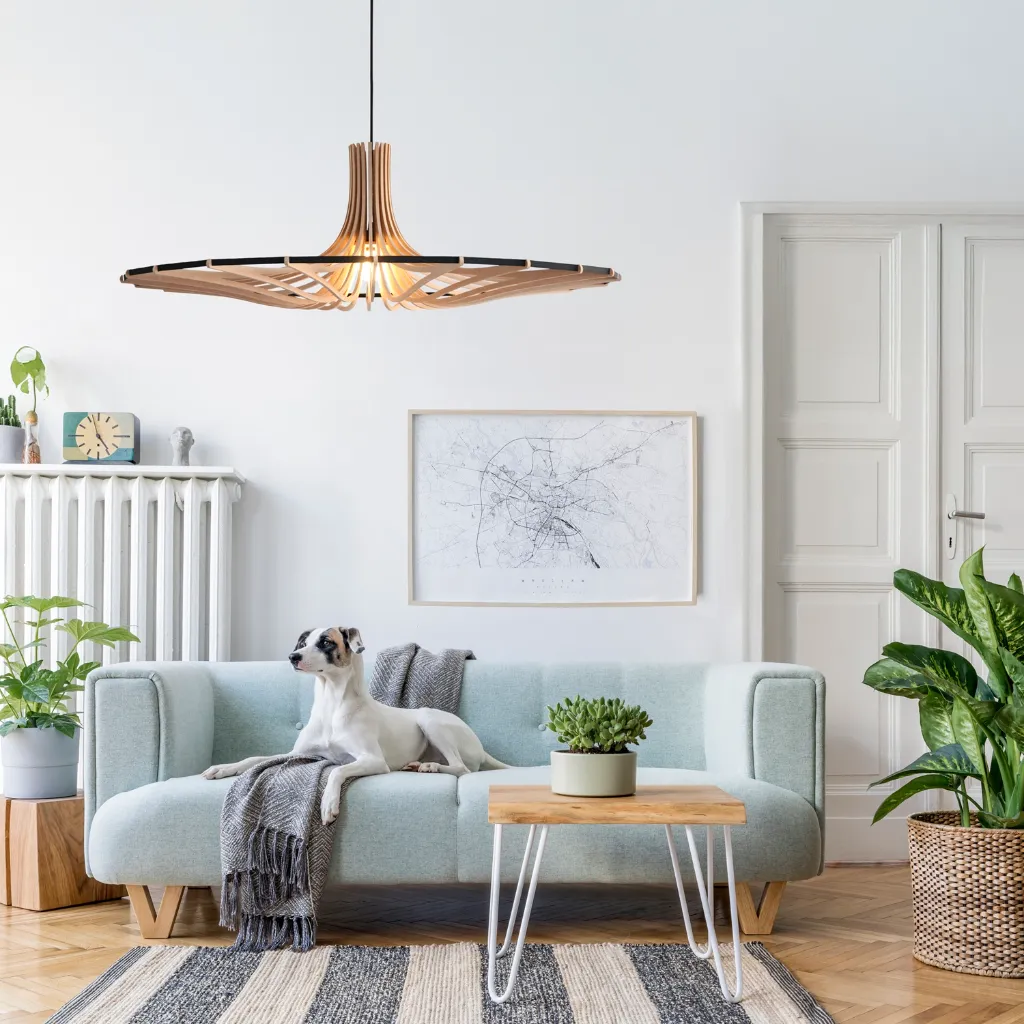 Boléro L noir - SANS DIF - Kit noir - chien.webp