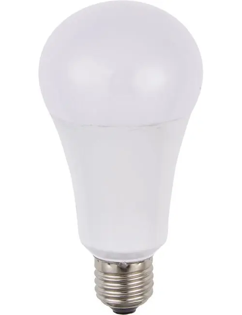 Ampoule A71 14W Opal