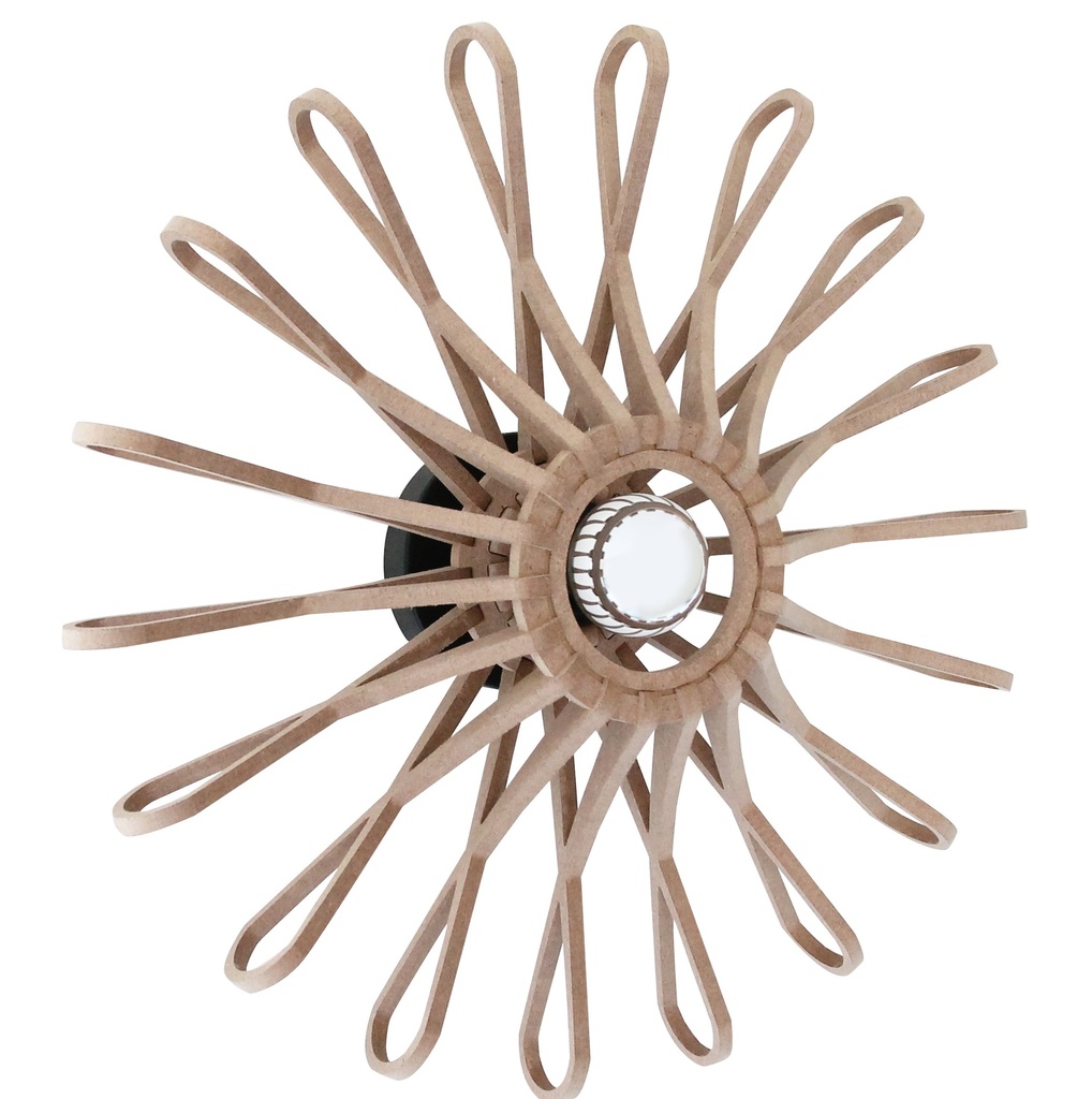 [66_1] Fleur wall lamp Brut (Wall connexion)