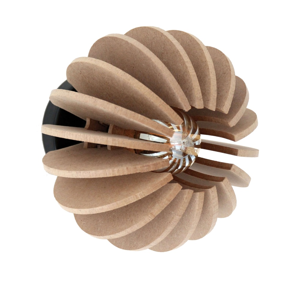 [24_1] Applique Wrecking Ball Brut (Branchement mural)