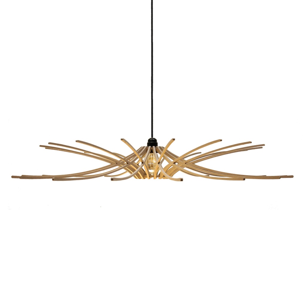 [62_1] Sunny pendant lamp Brut (Black and metal ceiling rose)