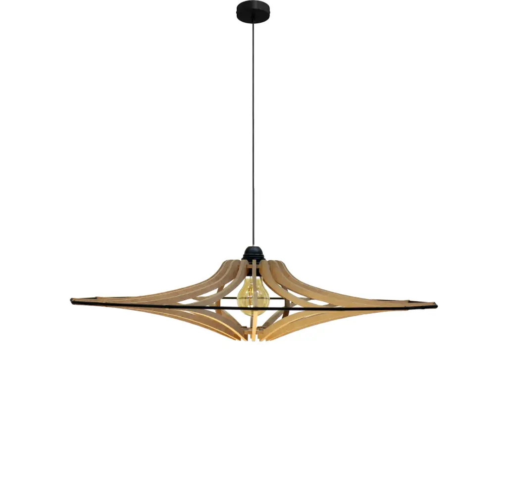 [103_1] Pendant lamp Singing Brut S D65cm (Black and metal ceiling rose, Black, Without Diffuser)